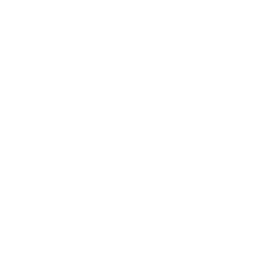Innovation Culture