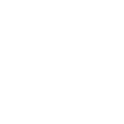 Expert Team
